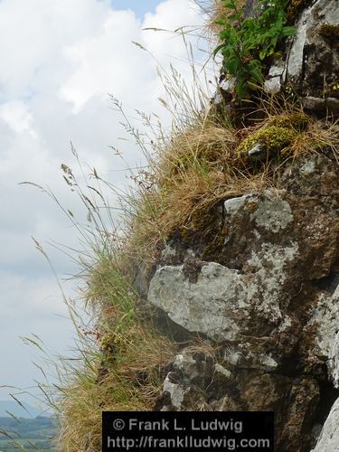 The Caves of Kesh, County Sligo